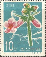 (1967-027) Марка Северная Корея "Рехманния клейкая"   Лекарственные растения III Θ